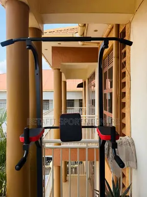 Function Pull-Up/Dip Station