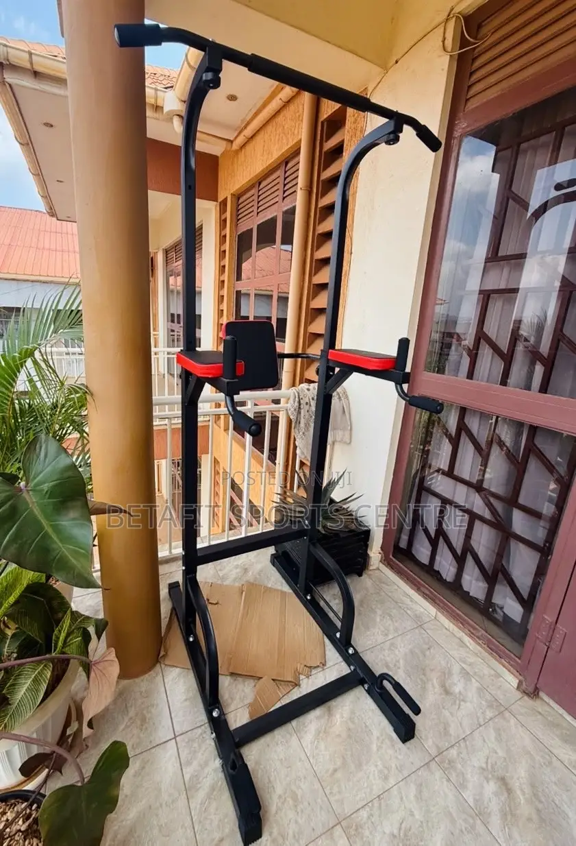 Function Pull-Up/Dip Station