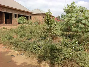 30 by 90 FTS Plot for Sale in Matuga
