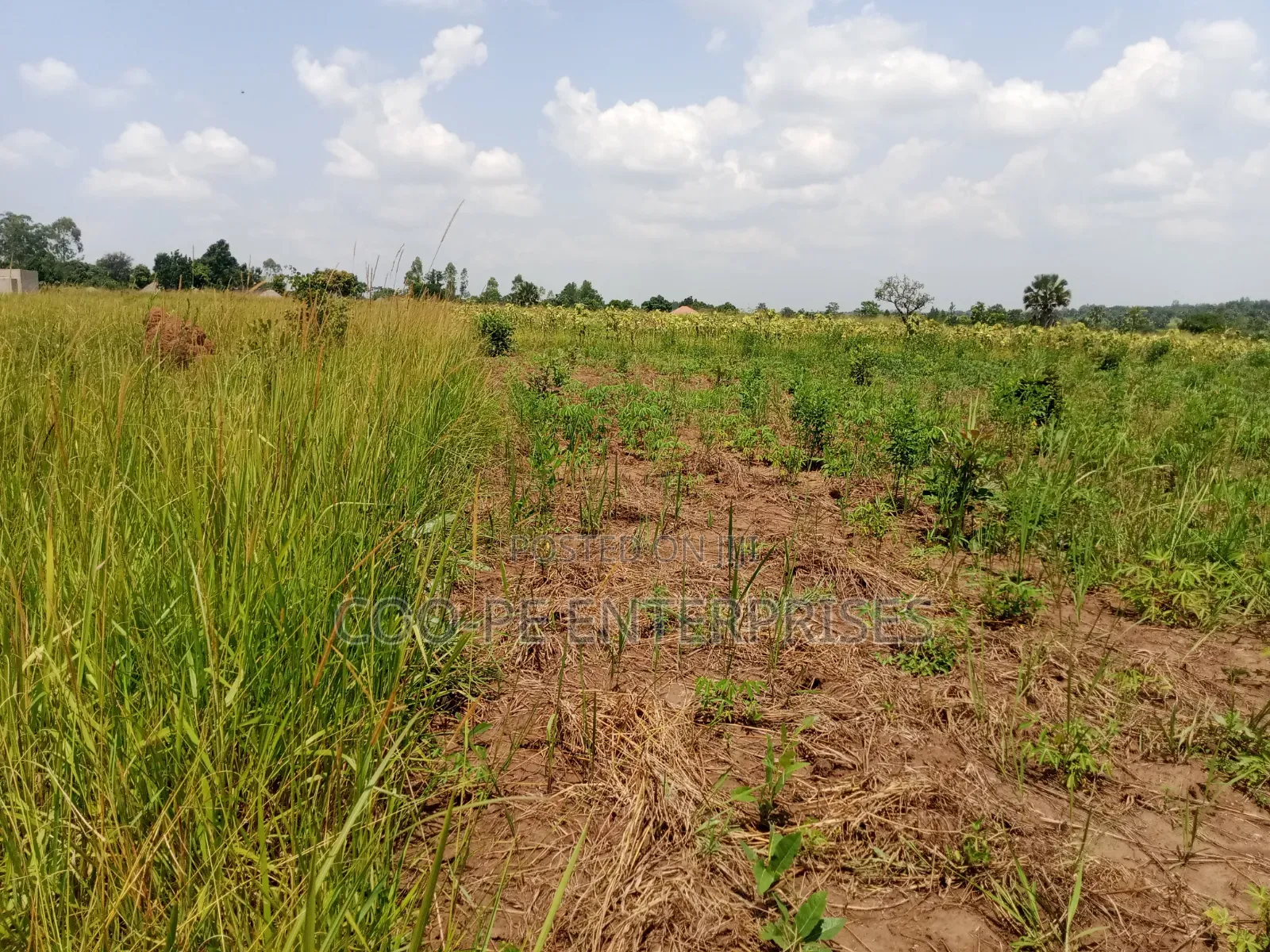 2.7 Acres for Sale in Gulu City
