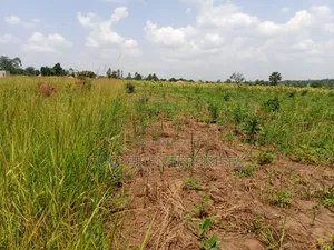 2.7 Acres for Sale in Gulu City