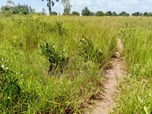 2.7 Acres for Sale in Gulu City