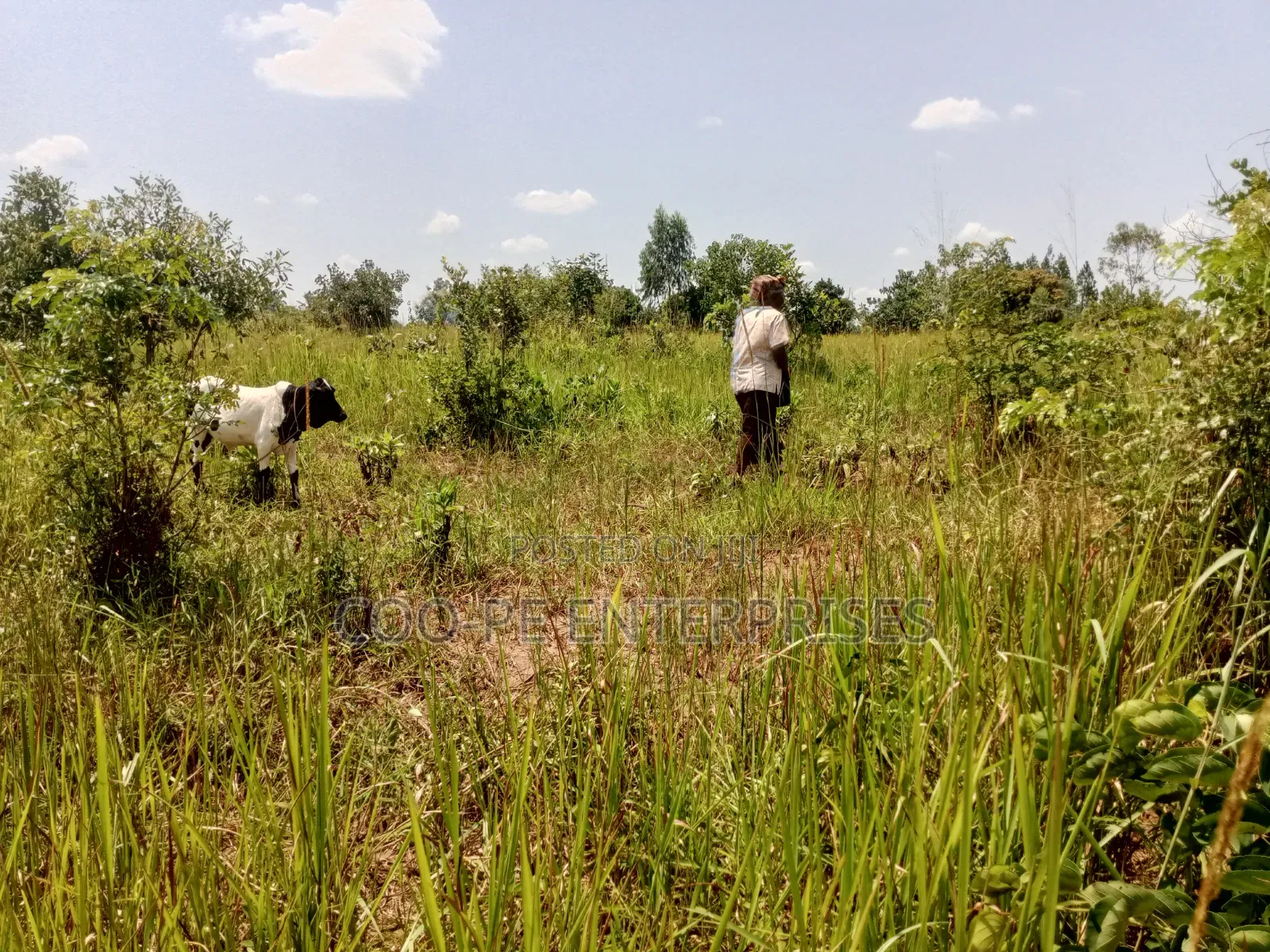 2.7 Acres for Sale in Gulu City