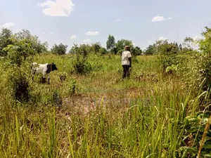 2.7 Acres for Sale in Gulu City