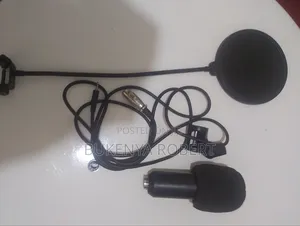 Microphone