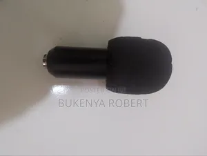 Microphone