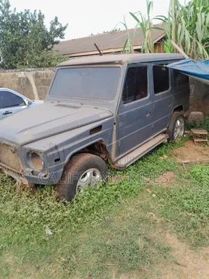 Mercedes-Benz G-Class 1995 Gray