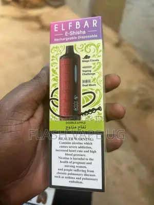 16000puffs Elfbar E Shisha Vape