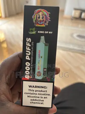 Dummy 8000puffs Vapes in Mint Flavor