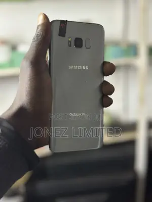 Samsung Galaxy S8 Plus 64 GB Silver