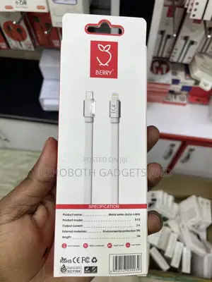 Berry B10 iPhone Fast Charging Cable (Usb-C to Lightning)