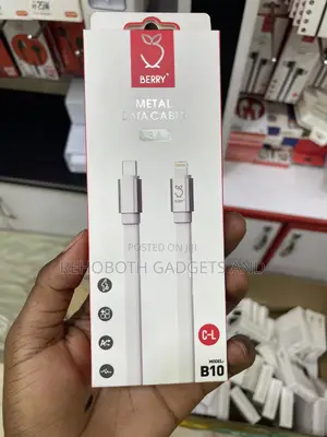 Berry B10 iPhone Fast Charging Cable (Usb-C to Lightning)