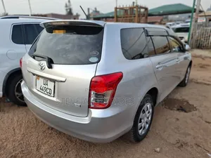 Toyota Corolla Fielder 2010 Silver