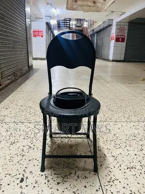 Adult Potty Chair