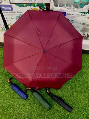 Automatic Hand Umbrellas