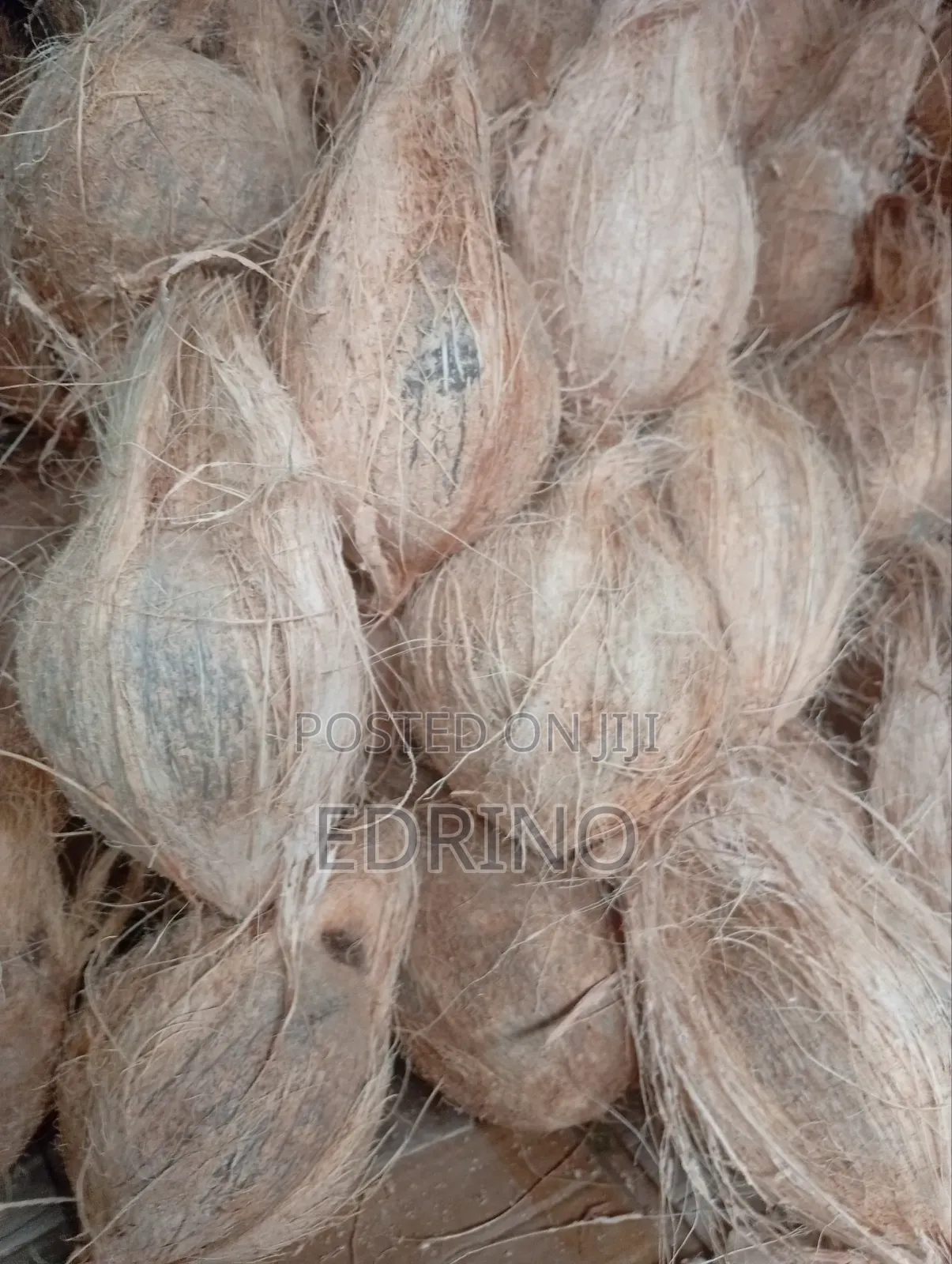 Fresh Coconut