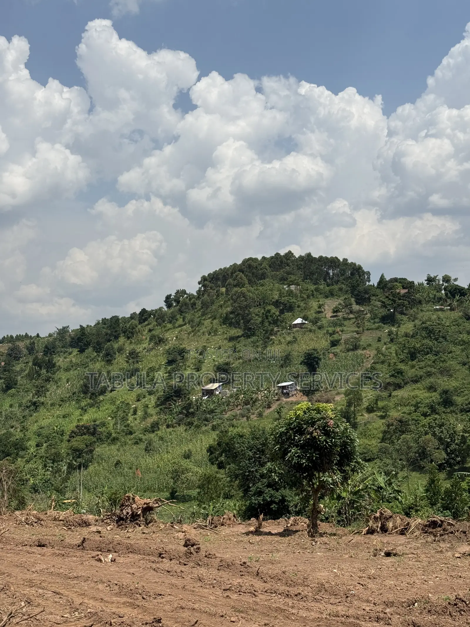 Bombo Town Estate