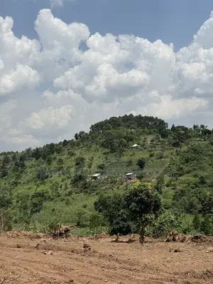 Bombo Town Estate