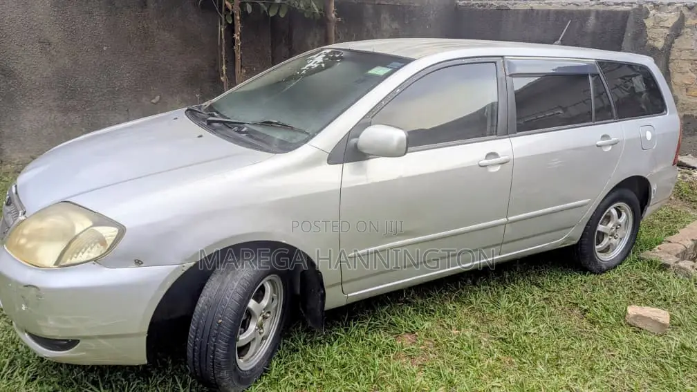 Toyota Corolla Fielder 2002 Silver