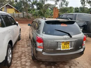 Toyota Corolla Fielder 2009 Gray