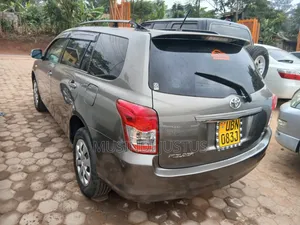 Toyota Corolla Fielder 2009 Gray
