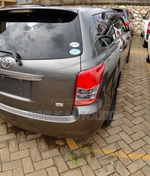 Toyota Corolla Fielder 2011 Gray