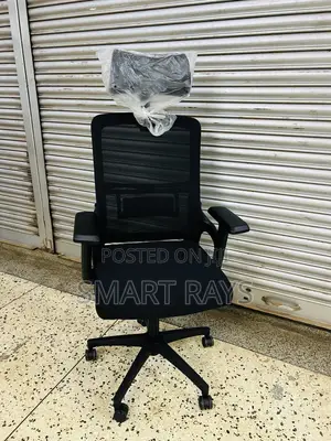 Egornomic Solid Office Chairs