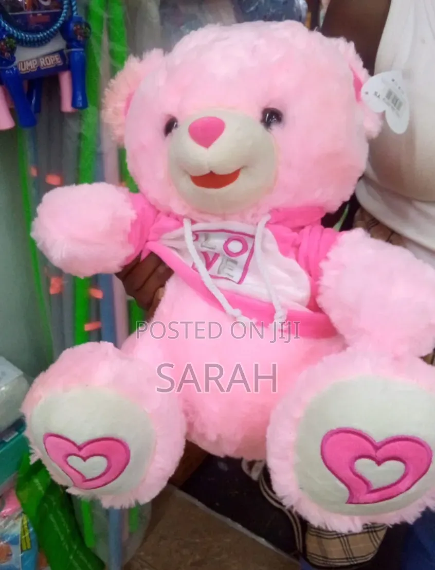 White and Pink Teddy Bear.