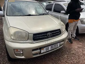 Toyota RAV4 2004 Gold