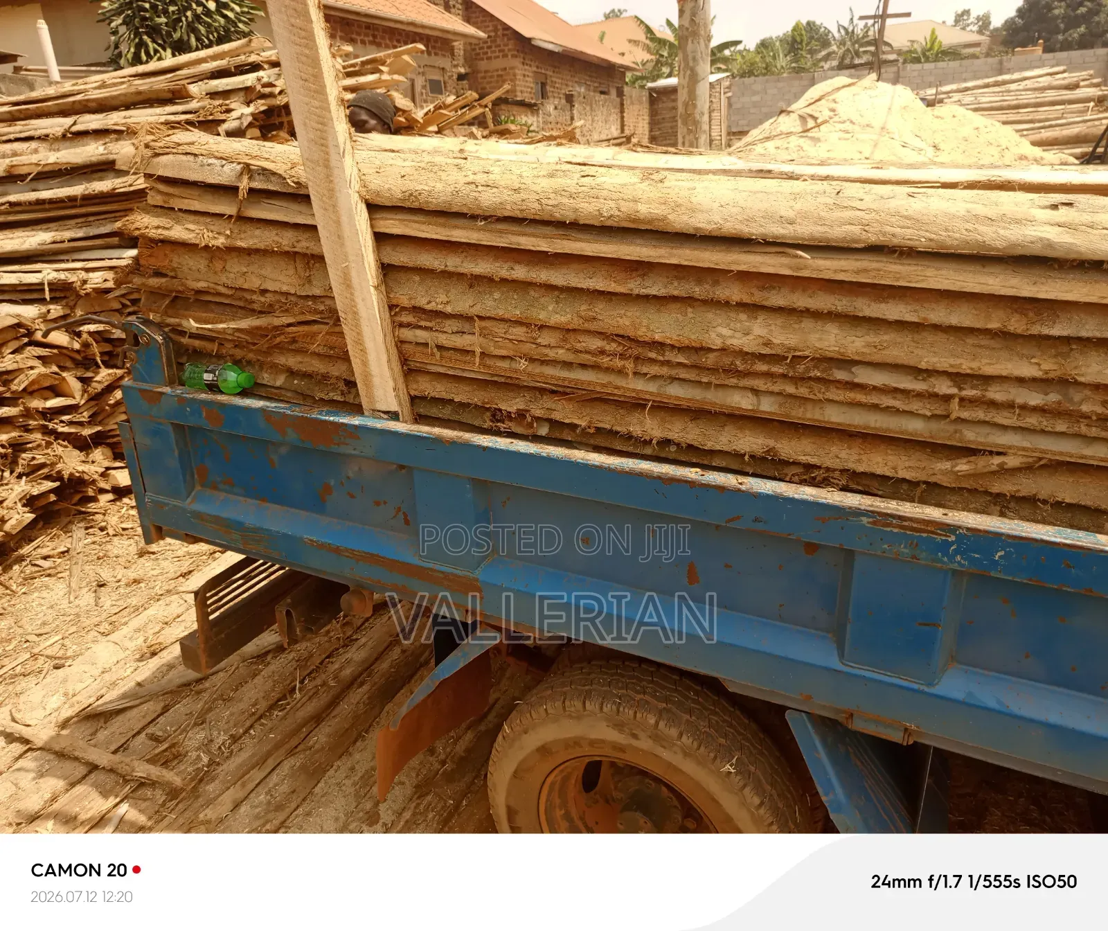 Makooko Tree Offcuts