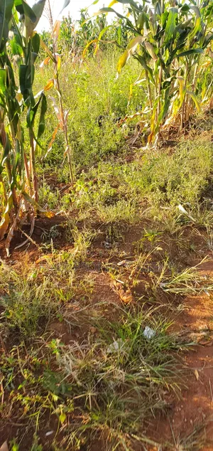 Land for Sell