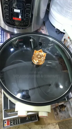 Fast Electric Pressure Multi-Functional Rice Cooker Electric Hot Pot