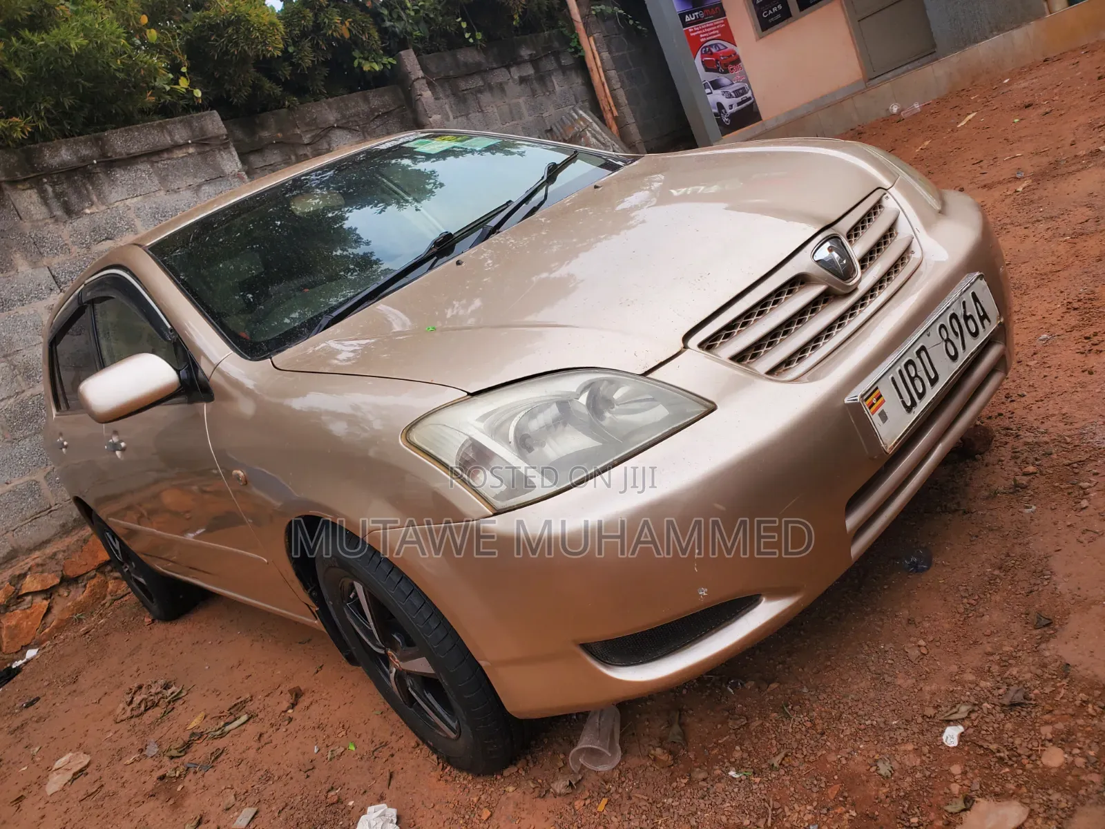 Toyota Allex 2006 Gold