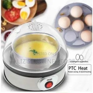 DSP Egg Cooker Auto Power Off Breakfast Machine Egg Boiler