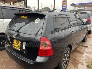 Toyota Corolla Fielder 2007 Black