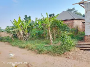 To by 50 Fs Plot in Matuga Sanga