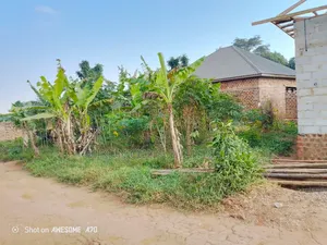 To by 50 Fs Plot in Matuga Sanga
