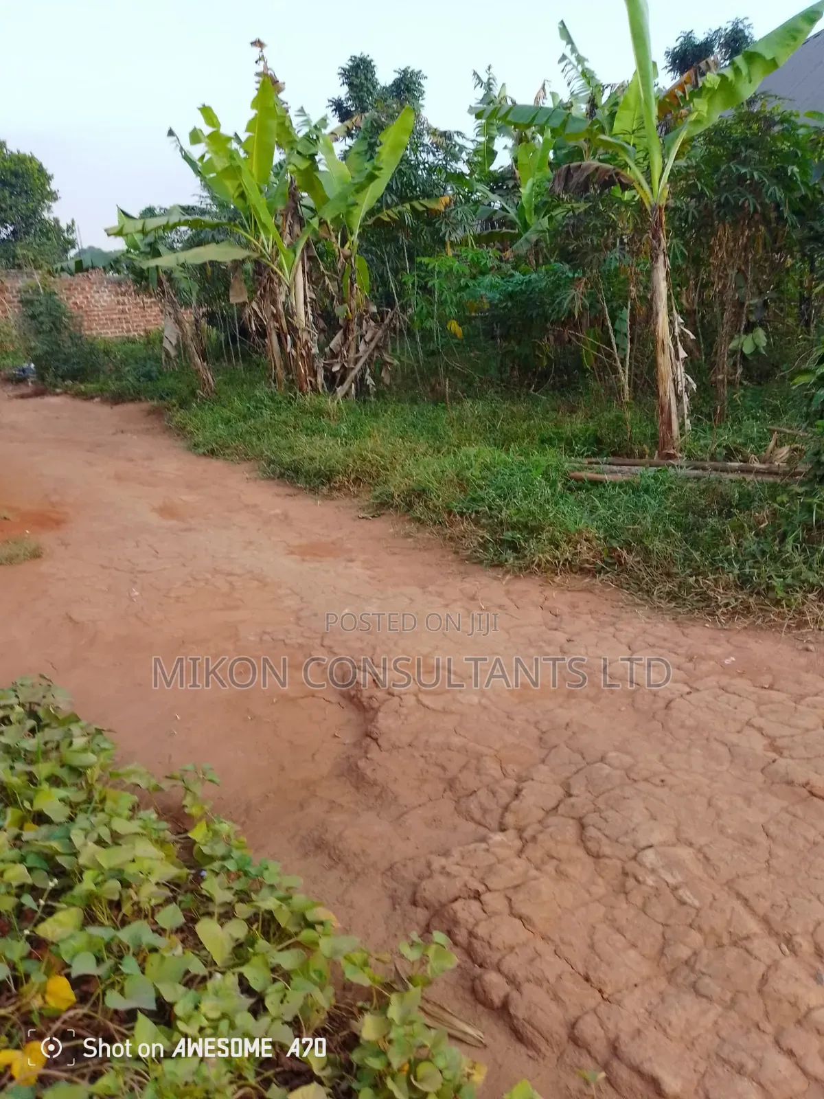 To by 50 Fs Plot in Matuga Sanga