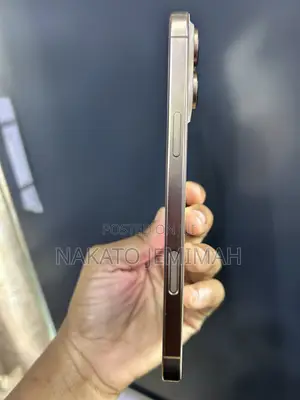 Apple iPhone 16 Pro Max 256 GB Gold