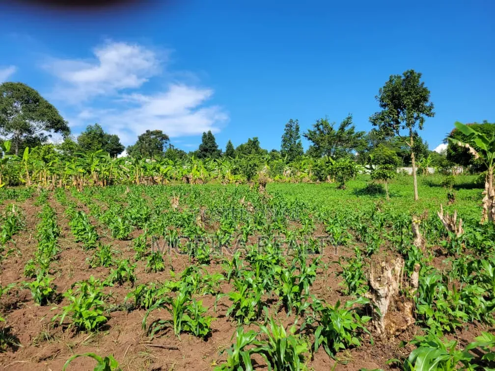 Kateera Land for Sale