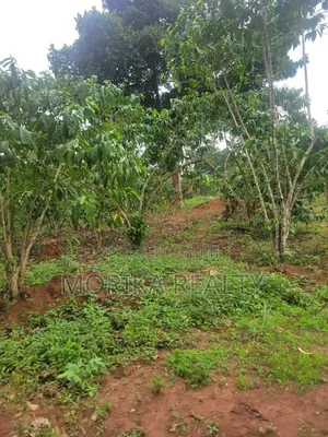 Kateera Land for Sale