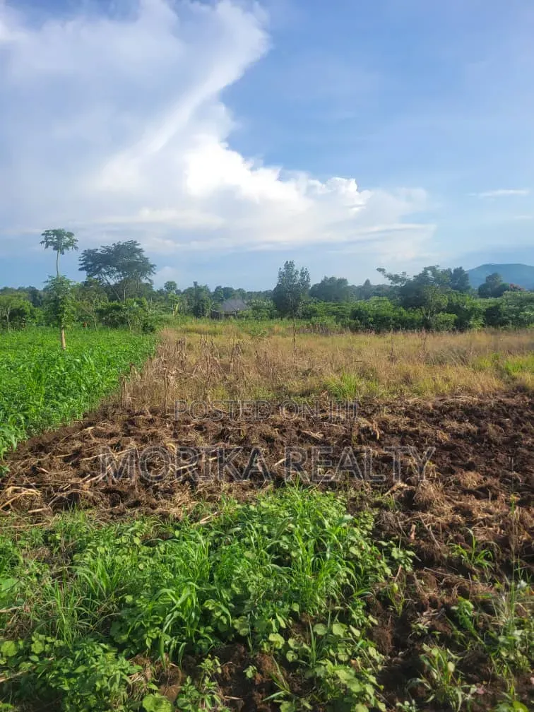 Kateera Land for Sale