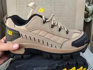 Caterpillar Hiking Shoes All Colours