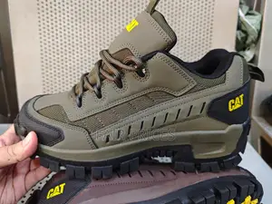 Caterpillar Hiking Shoes All Colours
