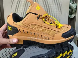 Caterpillar Hiking Shoes All Colours