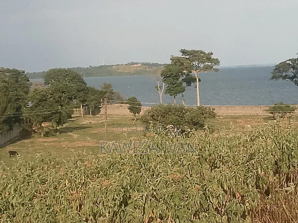 4 Plots on Sale With Lake View Entebbe