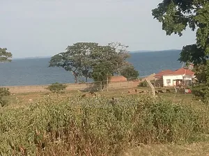 4 Plots on Sale With Lake View Entebbe