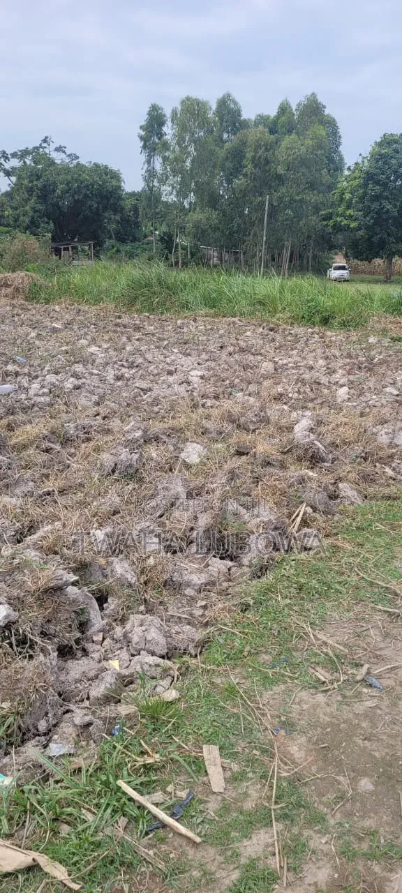 Land for Sale in Kitubulu Ntebe