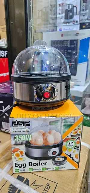Electric Egg Boiler