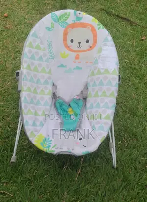 American Baby Bouncer